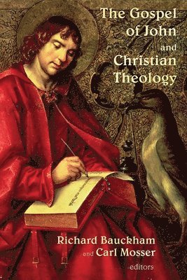bokomslag Gospel of John and Christian Theology