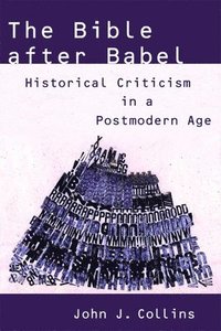 bokomslag The Bible After Babel: Historical Criticism in a Postmodern Age