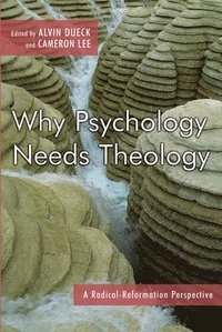 bokomslag Why Psychology Needs Theology