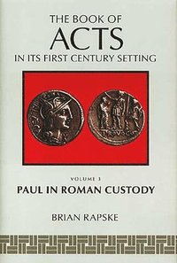 bokomslag The Book of Acts and Paul in Roman Custody