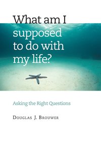 bokomslag What Am I Supposed to Do with My Life?: Asking the Right Questions