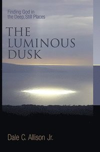 bokomslag Luminous Dusk