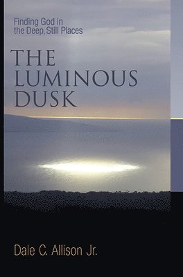 bokomslag Luminous Dusk
