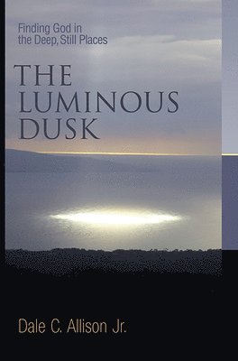 bokomslag The Luminous Dusk