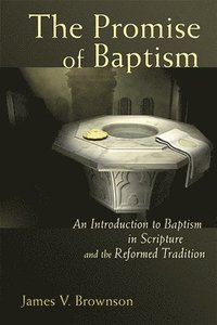 bokomslag Promise of Baptism: An Introduction to Baptism in Scripture and the Reformed Tradition