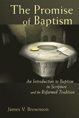 bokomslag Promise of Baptism: An Introduction to Baptism in Scripture and the Reformed Tradition