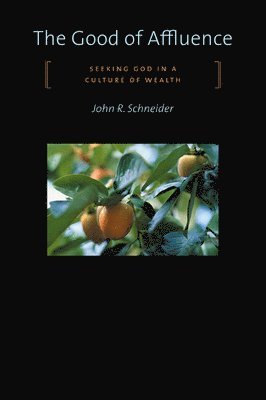 John R. Schneider - Good of Affluence, Häftad