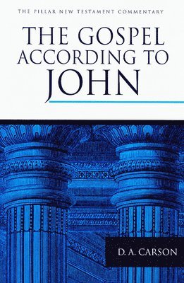bokomslag The Gospel According to John