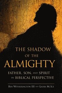 bokomslag The Shadow of the Almighty: Father, Son, and Spirit in Biblical Perspective