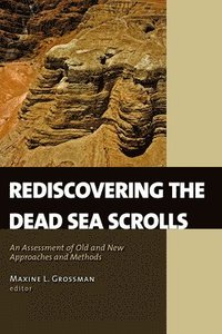 bokomslag Rediscovering the Dead Sea Scrolls