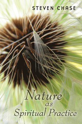 Steven Chase - Nature as Spiritual Practice, Häftad