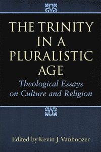 bokomslag The Trinity in a Pluralistic Age