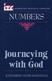 bokomslag Journeying with God