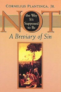 bokomslag Not the Way It's Supposed to Be: A Breviary of Sin