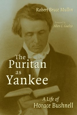 bokomslag Puritan as Yankee