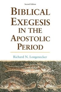 bokomslag Biblical Exegesis: the Apostolic Period