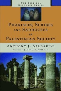 bokomslag Pharisees, Scribes, and Sadducees in Palestinian Society