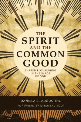 bokomslag Spirit And The Common Good