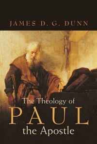bokomslag The Theology of Paul the Apostle