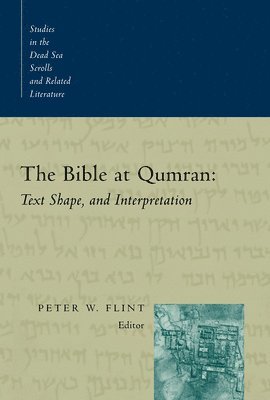 Peter W. Flint, Peter W. Flint, Tae Hun Kim - The Bible at Qumran, Häftad