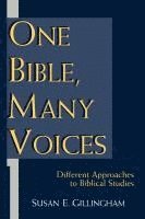 bokomslag One Bible, Many Voices: Different Approaches to Biblical Studies