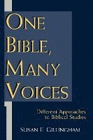 Susan E. Gillingham - One Bible, Many Voices: Different Approaches to Biblical Studies, Häftad