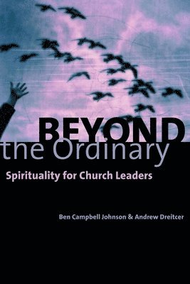 Ben Campbell Johnson, Andrew Dreitcer - Beyond the Ordinary, Häftad