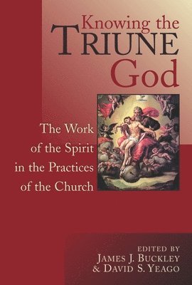 J. Buckley, James A. Buckley, David S. Yeago - Knowing the Triune God, Häftad