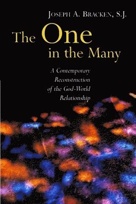 J. Bracken, Joseph A. Bracken, Joseph A Bracken - One in the Many, Häftad