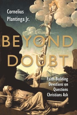 Beyond Doubt: Faith-Building Devotions on Questions Christians Ask