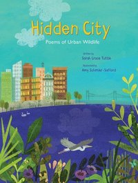 bokomslag Hidden City
