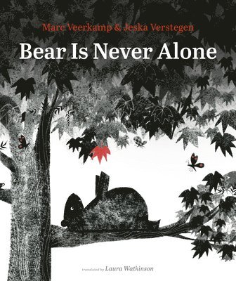 Bear Is Never Alone