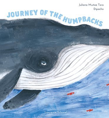 bokomslag Journey of the Humpbacks