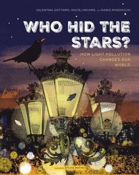 bokomslag Who Hid the Stars?: How Light Pollution Changes Our World