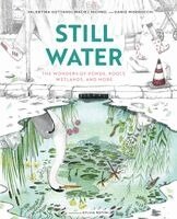 V Gottardi et al - Still Water, Inbunden