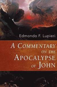 bokomslag A Commentary on the Apocalypse of John