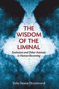bokomslag Wisdom of the Liminal