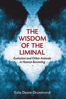 bokomslag Wisdom of the Liminal