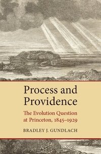 bokomslag Process and Providence