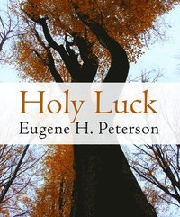 bokomslag Holy Luck