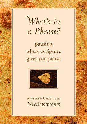 Marilyn Chandler McEntyre - What's in a Phrase?, Häftad