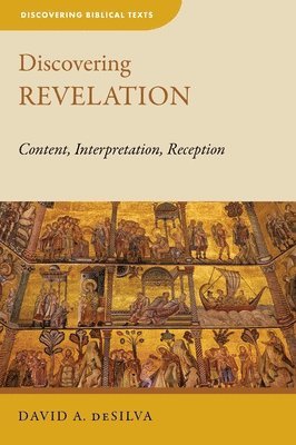 bokomslag Discovering Revelation