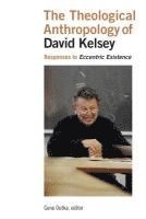 bokomslag Theological Anthropology of David Kelsey