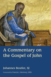 bokomslag Commentary on the Gospel of John