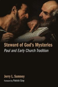bokomslag Steward of God's Mysteries