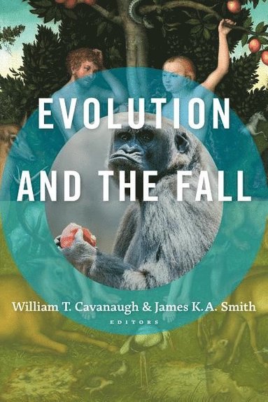 bokomslag Evolution and the Fall