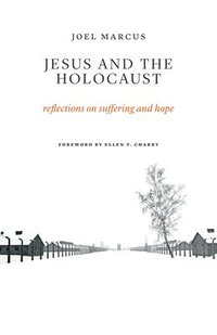 bokomslag Jesus and the Holocaust