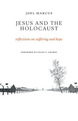 Joel Marcus - Jesus and the Holocaust, Häftad