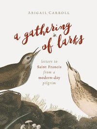 bokomslag Gathering of Larks