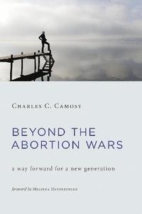 bokomslag Beyond the Abortion Wars